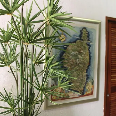 Hotel Fesch & Ajaccio (Corsica)
