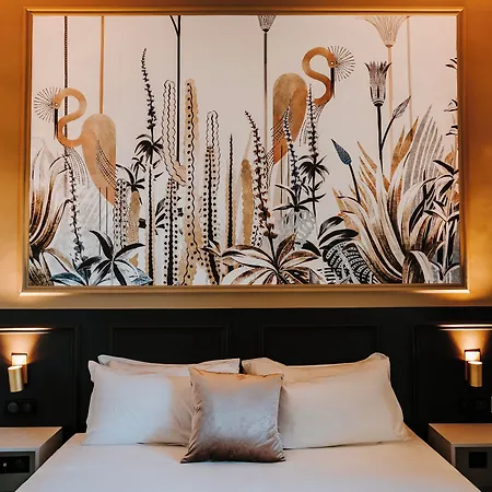 Fesch & Hotel 3*