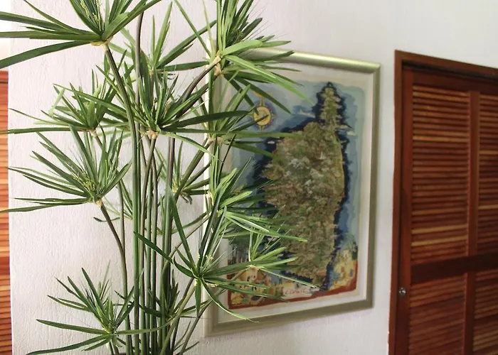 ホテル Fesch & アジャクシオ